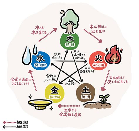 いんとよう|「陰陽五行」とは？漢方の基礎知識 